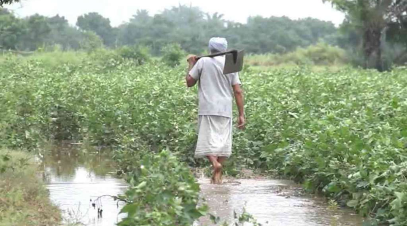 Farmers of Patan district