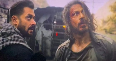 Salman Khan On Pathaan Scenes