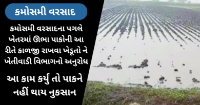unseasonal rains in summer