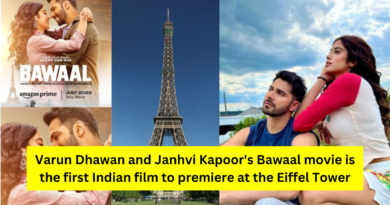 Bawaal Movie