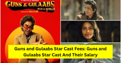 Guns and Gulaabs Star Cast Fees