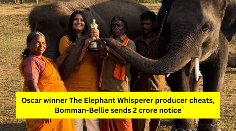 The Elephant Whispers
