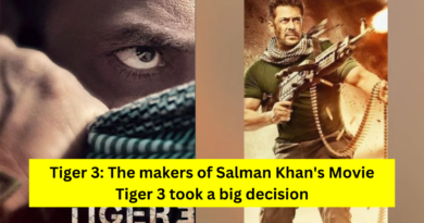 Tiger 3